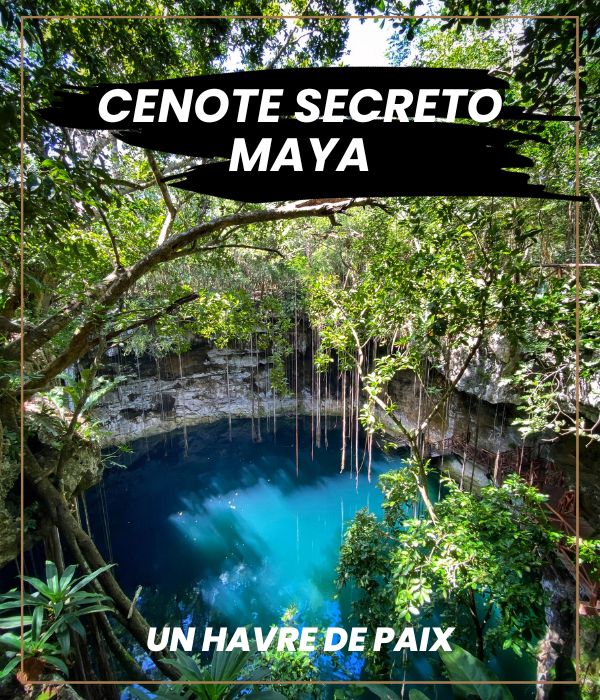 Cenote - Secreto Maya