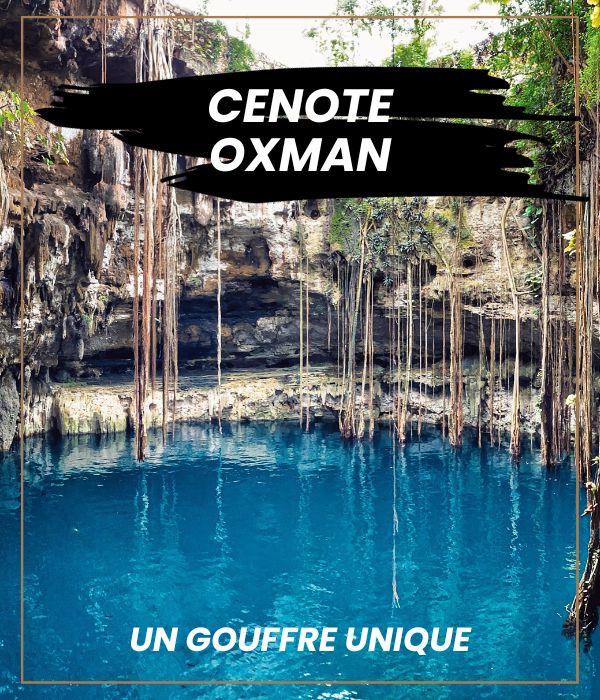 Cenote - Oxman