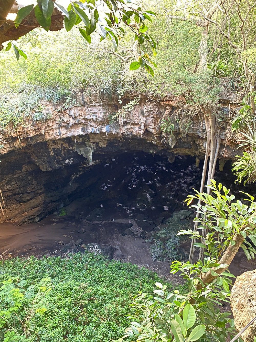 Les grottes de Calcehtok - leptitcurieux.fr