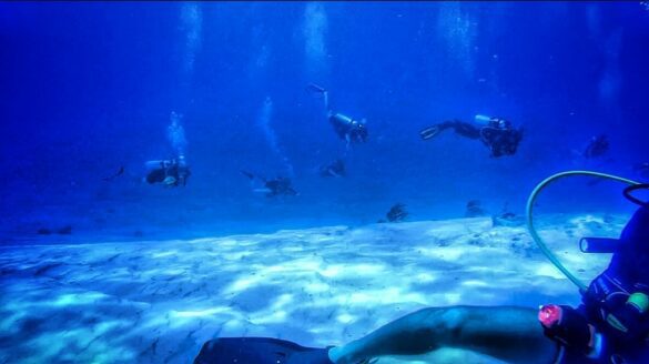 Plongée sous-marine à Cozumel - Travel