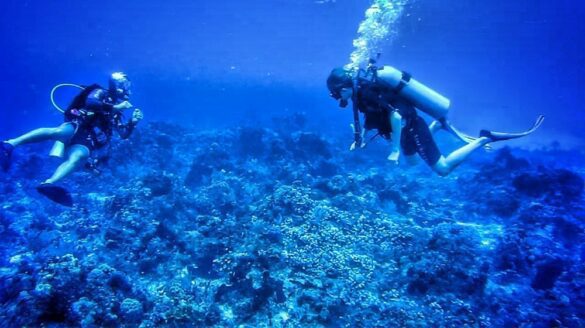 Mexique - Plongée sous-marine