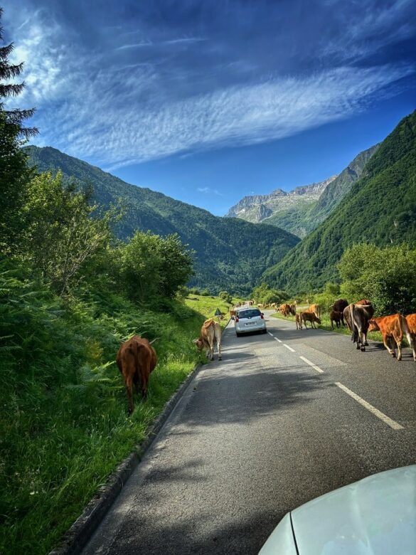 Direction le Lac d'Oô dans les Pyrénées