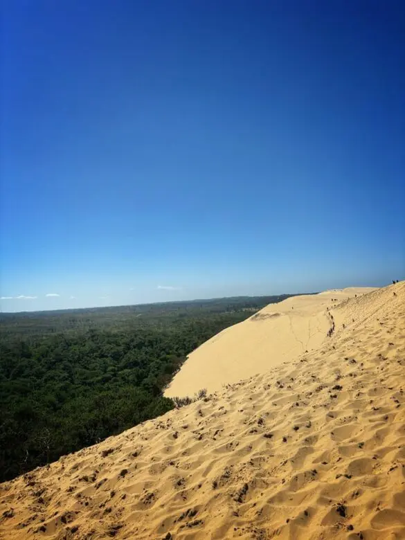 Visiter la Dune du Pilat - Bassin d'arcachon - Leptitcurieux.fr