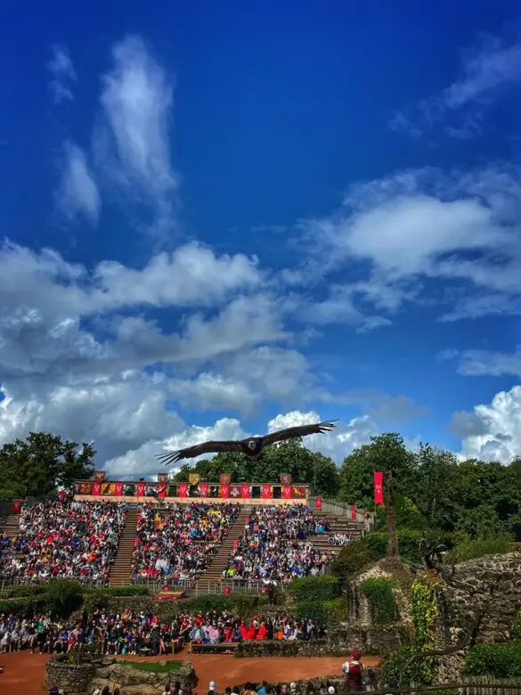 Les spectacles au Puy du Fou - Le Bal des oiseaux fantômes