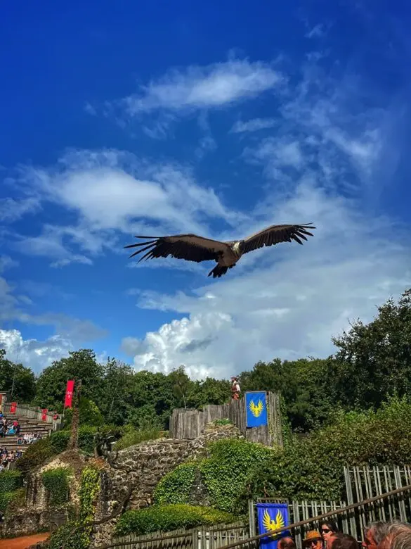 Les spectacles au Puy du Fou - Le Bal des oiseaux fantômes